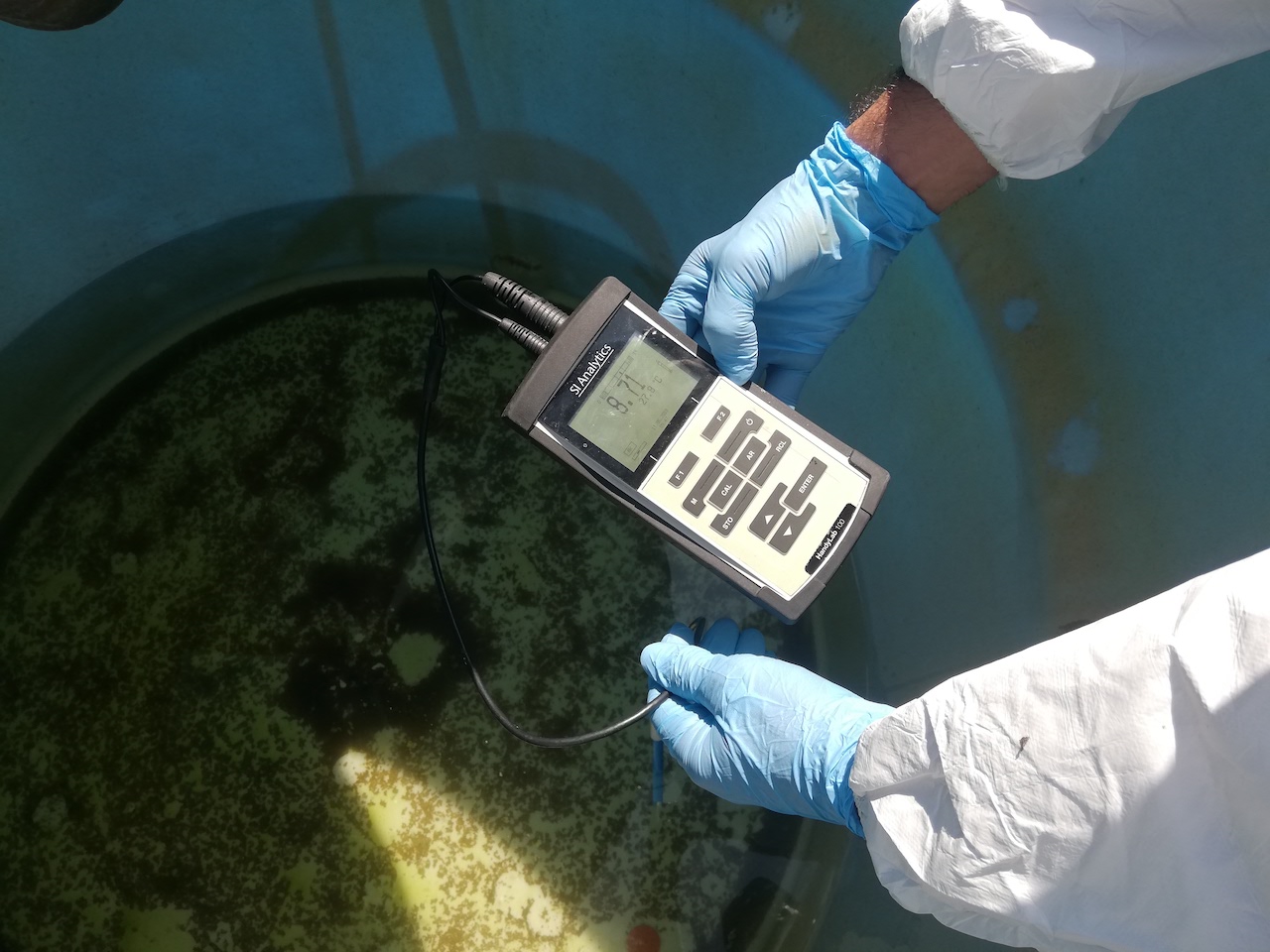 Por qué lavar y desinfectar sus tanques de agua cada 6 meses